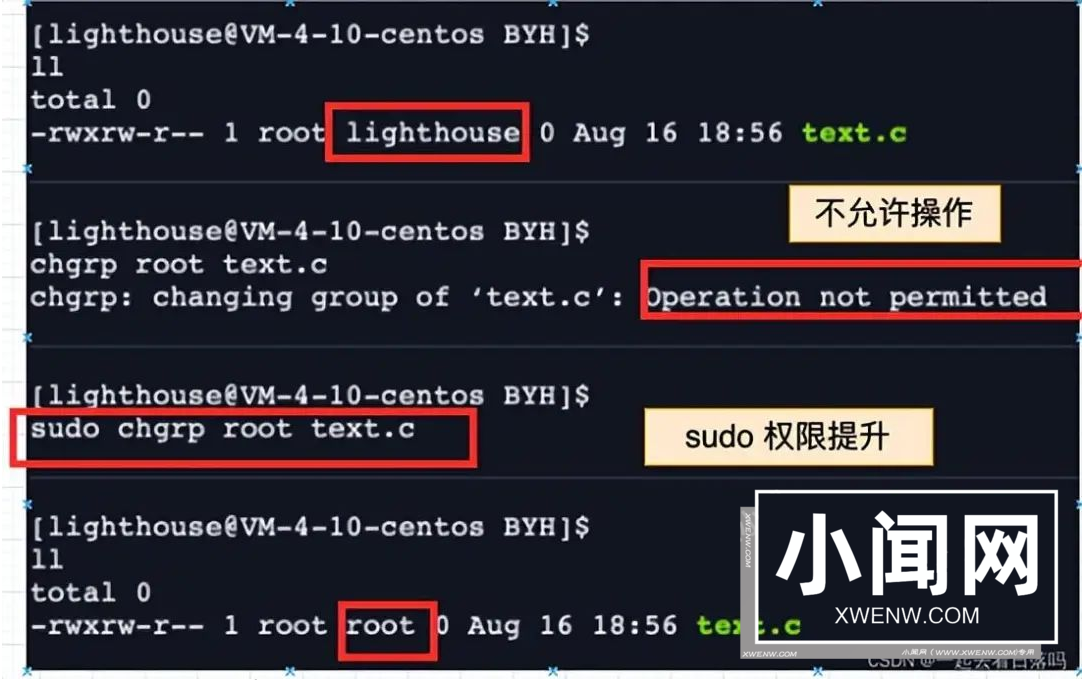 shell 运行原理和 Linux 权限详解