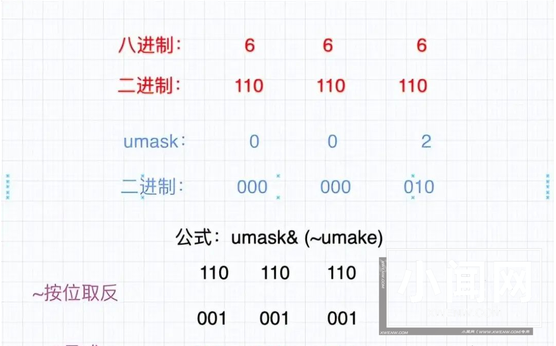 shell 运行原理和 Linux 权限详解