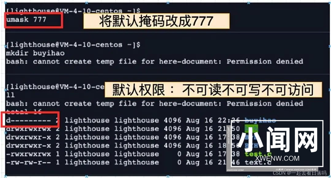 shell 运行原理和 Linux 权限详解