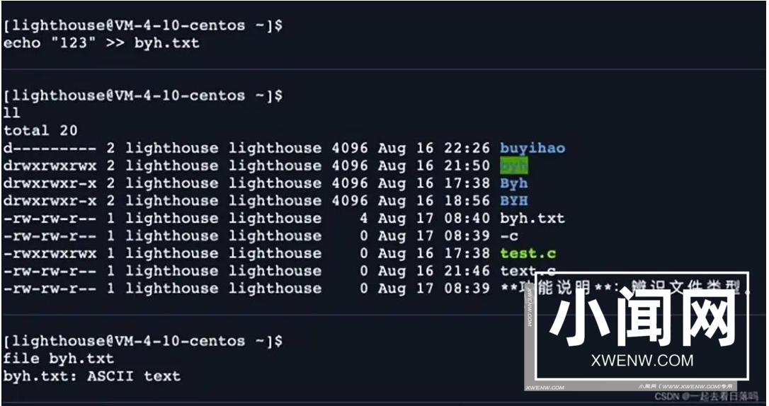 shell 运行原理和 Linux 权限详解