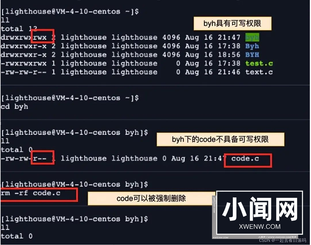 shell 运行原理和 Linux 权限详解