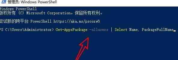 Win11应用商店点了为什么没反应_Win11应用商店点了没反应解决方法