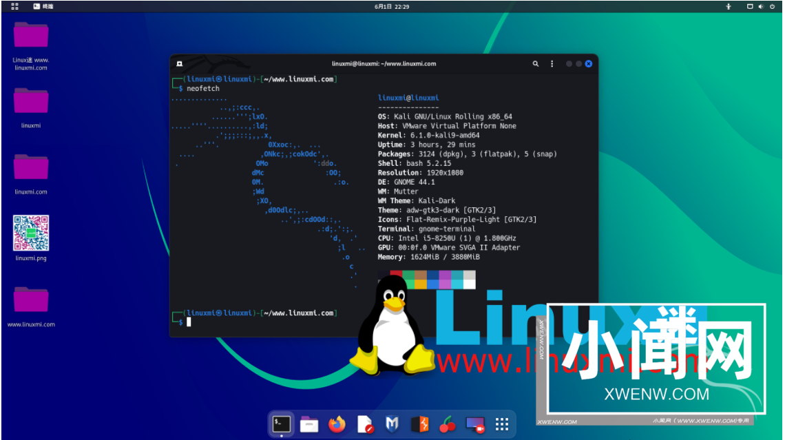 适合网络工程师的 6 个最佳 Linux 发行版