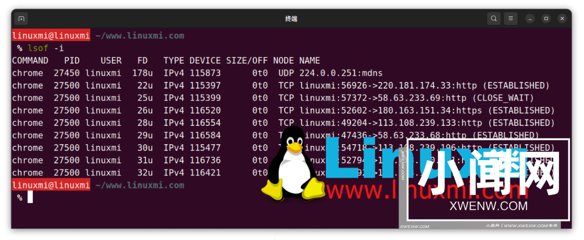 如何监控 Linux 上进程的网络使用情况