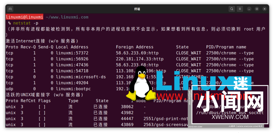 如何监控 Linux 上进程的网络使用情况