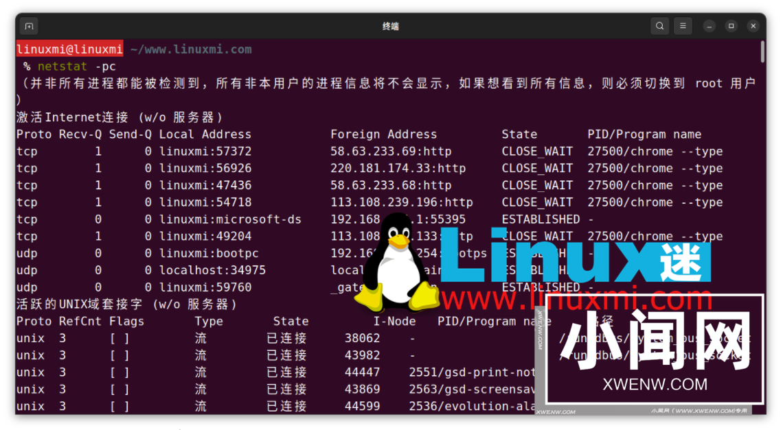 如何监控 Linux 上进程的网络使用情况