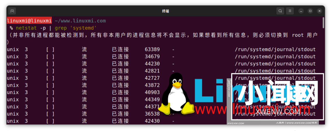 如何监控 Linux 上进程的网络使用情况