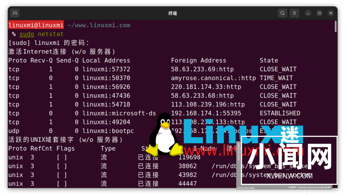 如何监控 Linux 上进程的网络使用情况