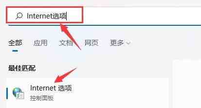 Windows11浏览器没网怎么解决_Windows11设置局域网络技巧