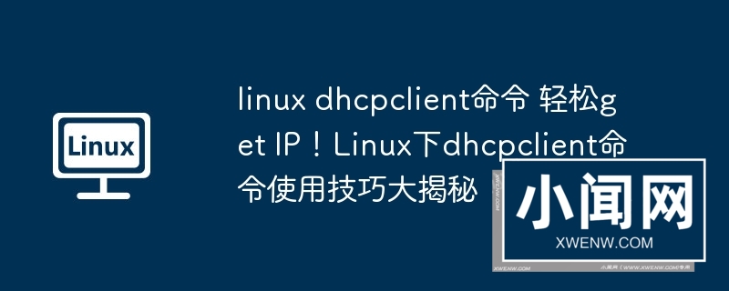 linux dhcpclient命令 轻松get ip！linux下dhcpclient命令使用技巧大揭秘