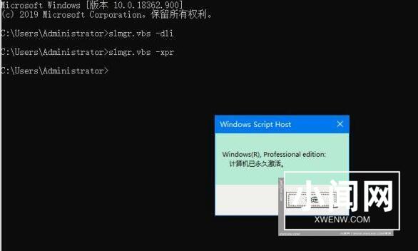 WIN10专业版使用命令查看激活信息的详细操作