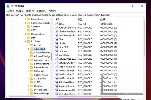 如何解决Windows 11系统中任务栏大小无法调整的问题