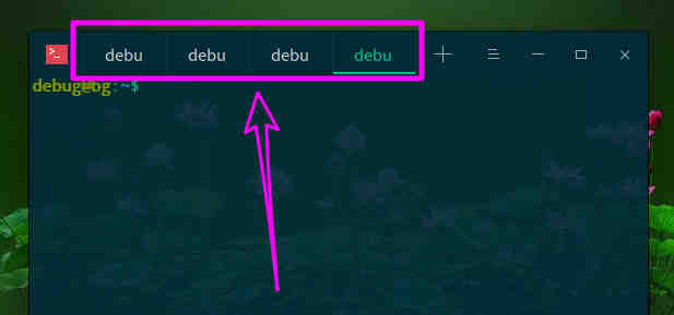 deepin20怎么打开多个终端窗口? deepin打开终端命令窗口的技巧