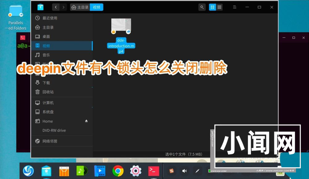 deepin文件有个锁头怎么删除? deepin删除带锁头文件的技巧