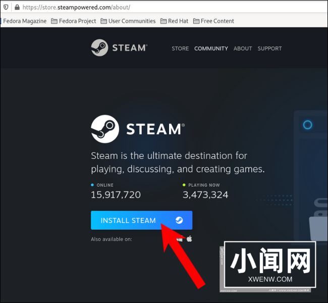 如何在 Linux 上下载和安装Steam