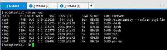 CentOS关机大法之查看在线用户及进程