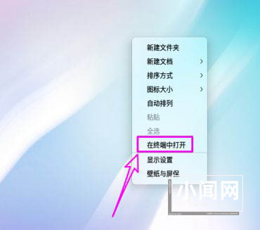 deepin20子网掩码在哪? deepin查看子网掩码的技巧