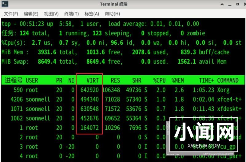 Debian11怎么查看虚拟内存使用情况? 查看进程占用虚拟内存技巧