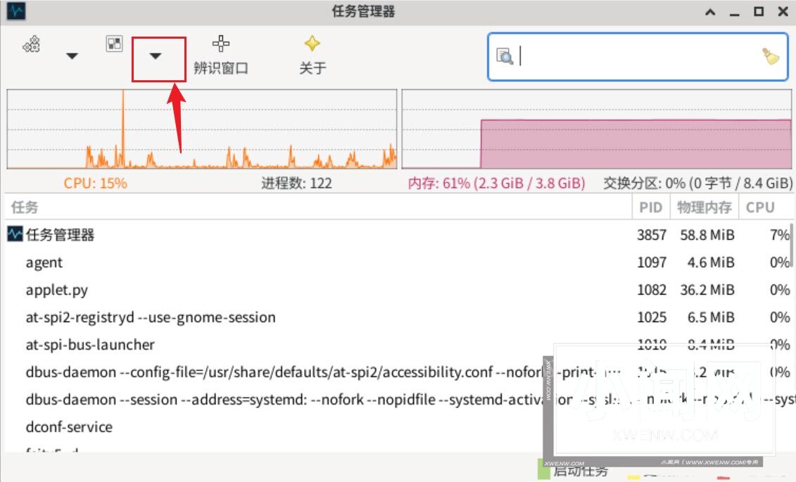 Debian11怎么查看虚拟内存使用情况? 查看进程占用虚拟内存技巧