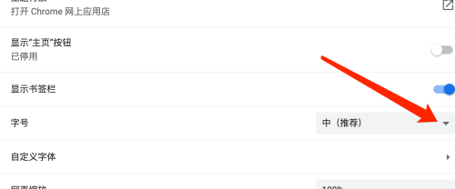 谷歌浏览器Google Chrome For Mac如何设置字号大小-设置字号大小教程