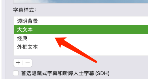 谷歌浏览器Google Chrome For Mac如何设置字幕样式-设置教程