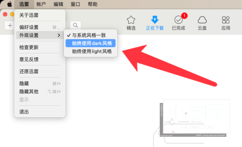 迅雷mac版怎么设置主题风格-迅雷mac版设置主题风格的方法