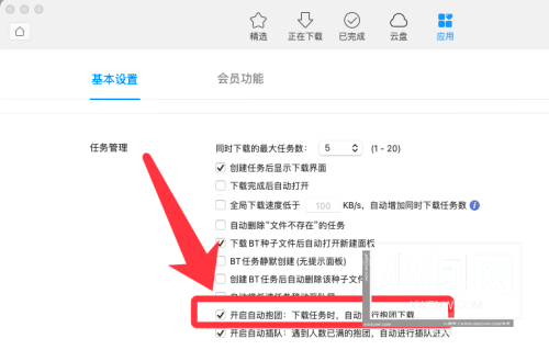 迅雷mac版怎么开启自动抱团下载-开启自动抱团下载的方法
