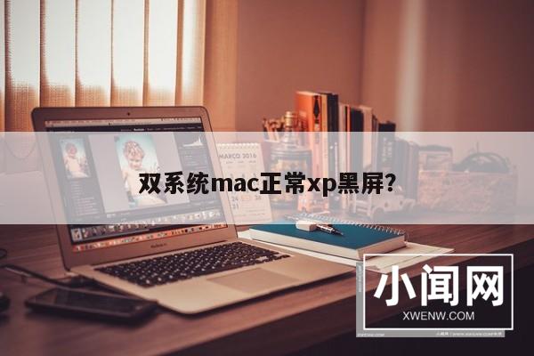 双系统mac正常xp黑屏？