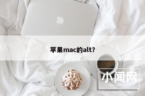 苹果mac的alt？