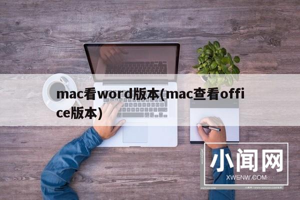 mac看word版本(mac查看office版本)