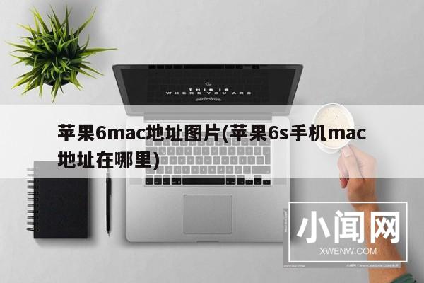 苹果6mac地址图片(苹果6s手机mac地址在哪里)