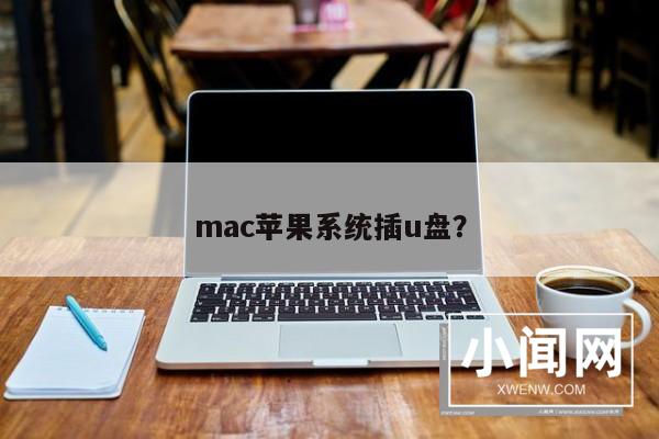 mac苹果系统插u盘？