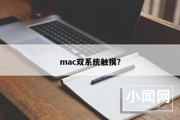 mac双系统触摸？