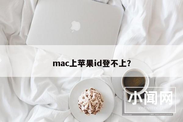 mac上苹果id登不上？