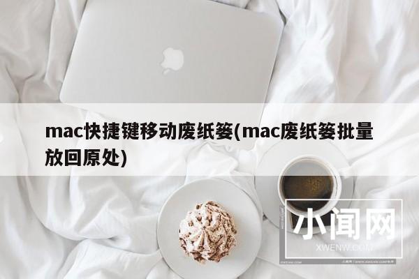 mac快捷键移动废纸篓(mac废纸篓批量放回原处)