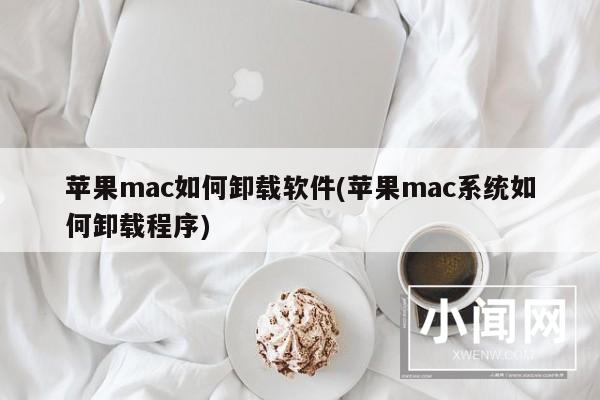 苹果mac如何卸载软件(苹果mac系统如何卸载程序)