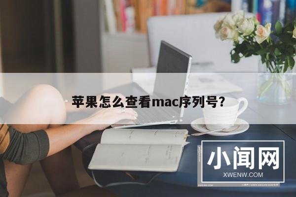 苹果怎么查看mac序列号？