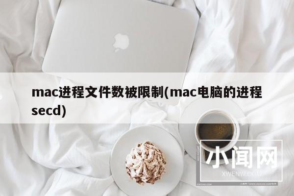 mac进程文件数被限制(mac电脑的进程secd)