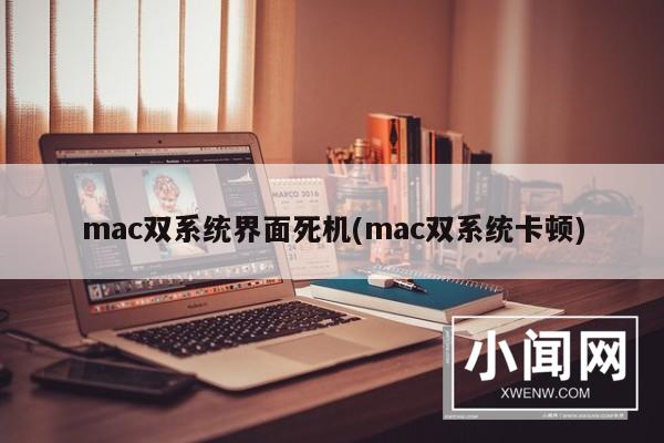 mac双系统界面死机(mac双系统卡顿)