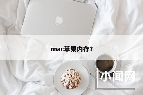 mac苹果内存？