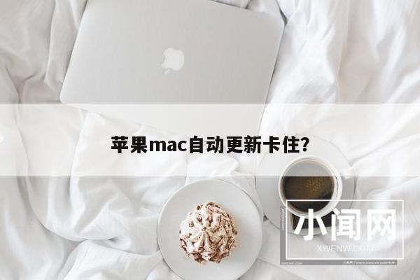 苹果mac自动更新卡住？