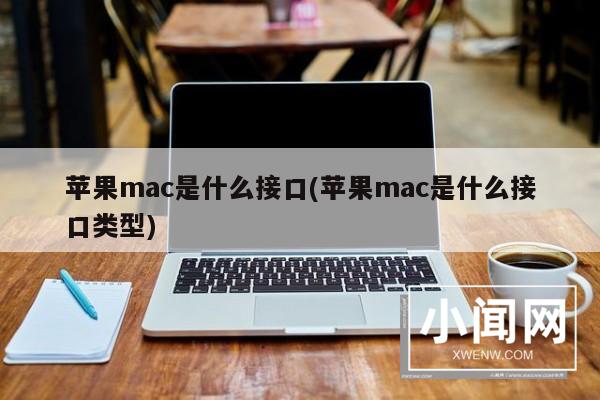 苹果mac是什么接口(苹果mac是什么接口类型)