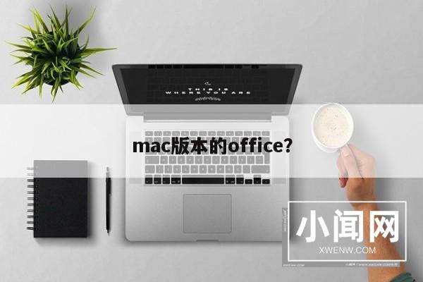 mac版本的office？