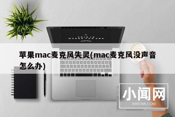 苹果mac麦克风失灵(mac麦克风没声音怎么办)