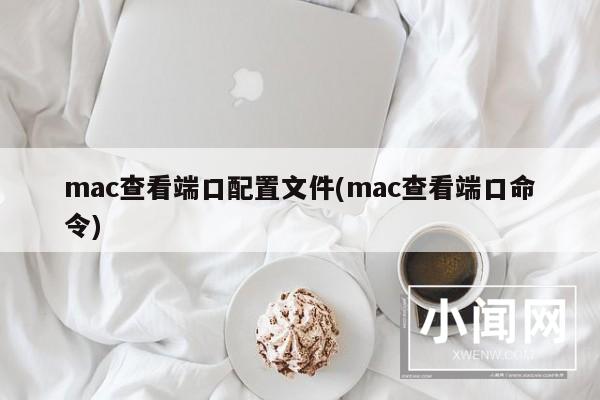 mac查看端口配置文件(mac查看端口命令)