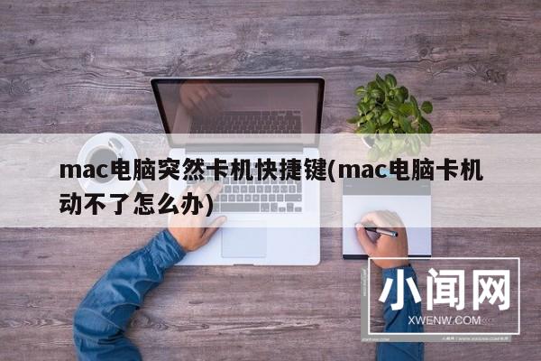 mac电脑突然卡机快捷键(mac电脑卡机动不了怎么办)