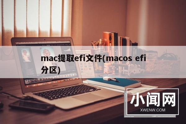 mac提取efi文件(macos efi分区)