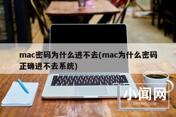 mac密码为什么进不去(mac为什么密码正确进不去系统)