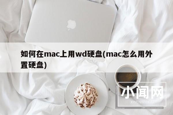 如何在mac上用wd硬盘(mac怎么用外置硬盘)