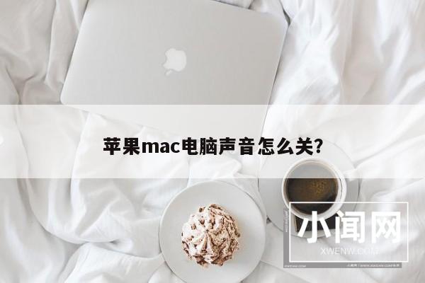 苹果mac电脑声音怎么关？